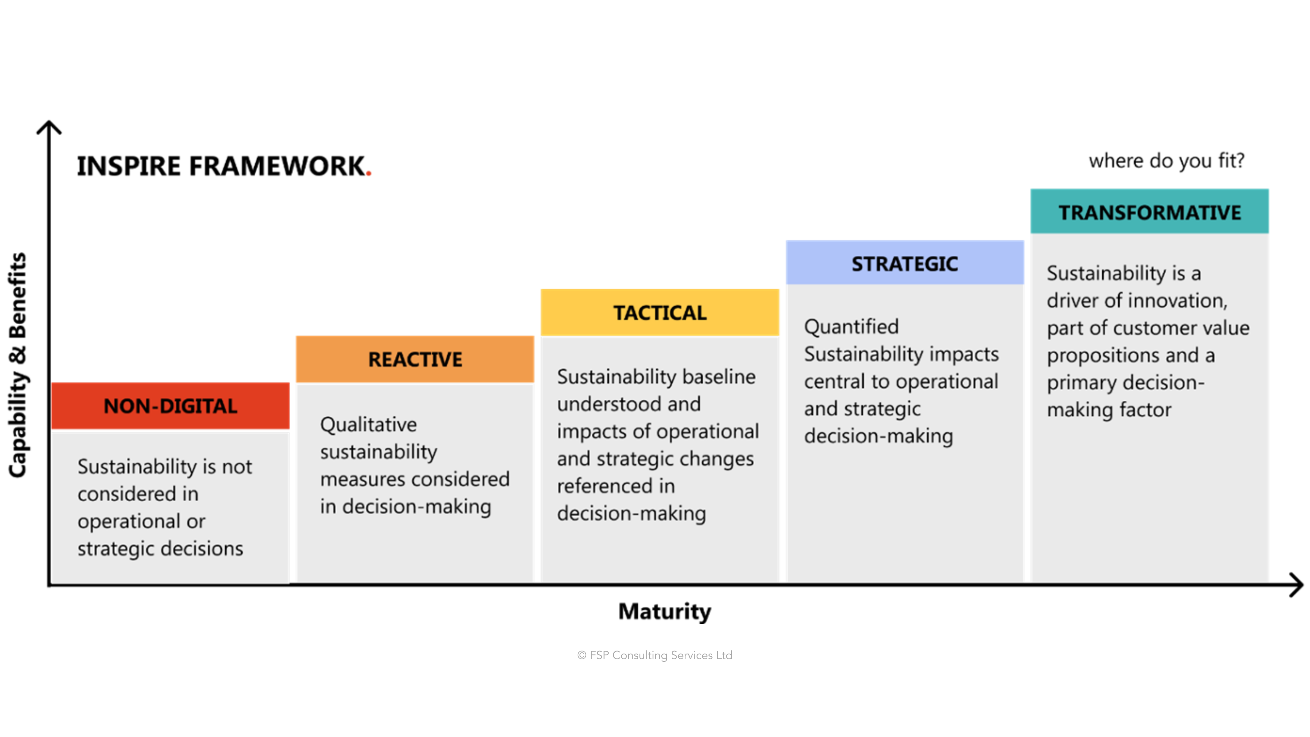 Digital Transformation Strategy - Maturity Through Sustainability - FSP